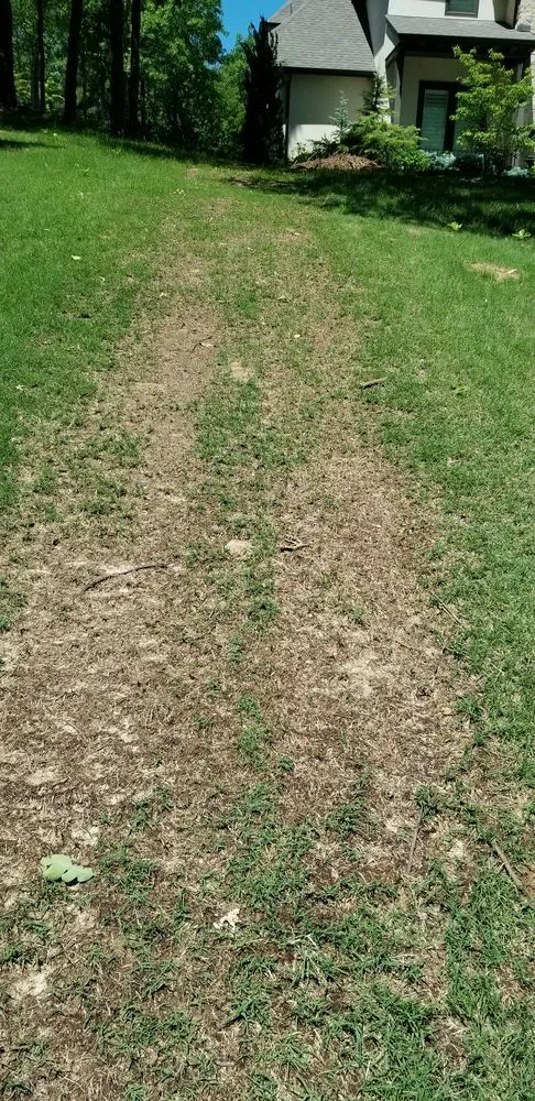 Expert landscape installation in Tulsa, OK - Wilkinson Tree Service