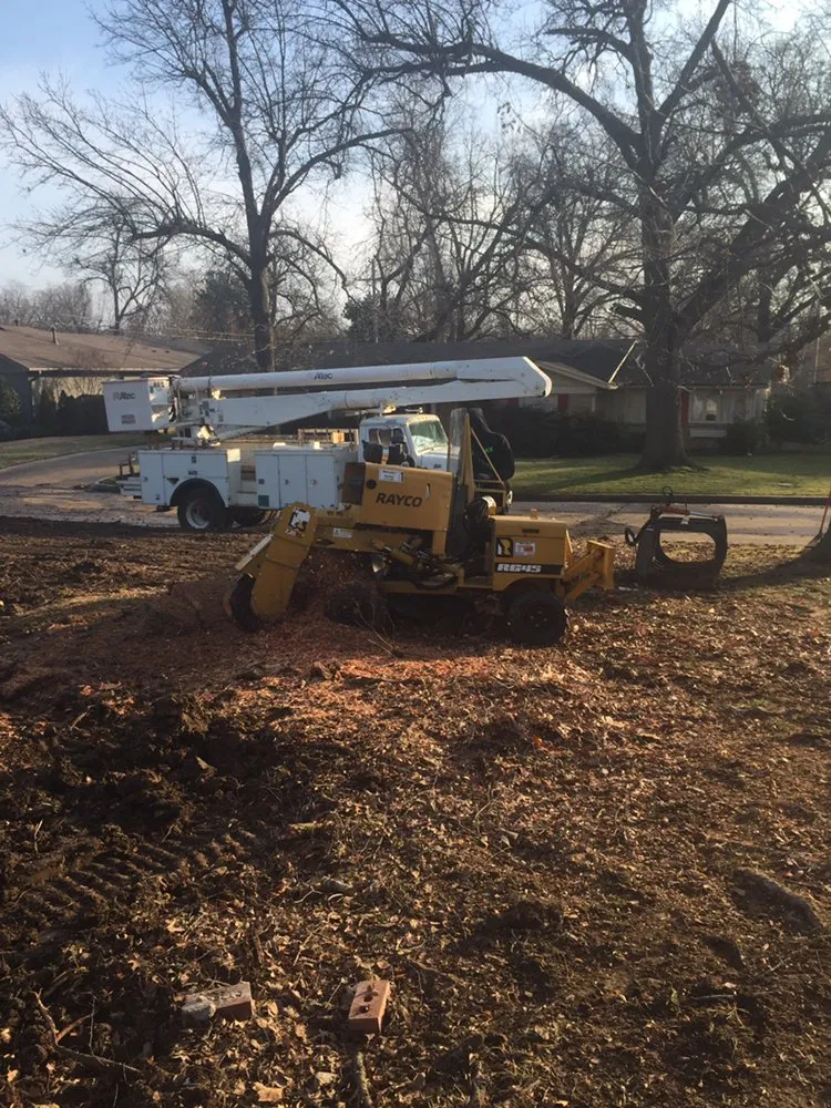 Affordable lawn mowing service for beautiful yards across Tulsa, OK - Wilkinson Tree Service