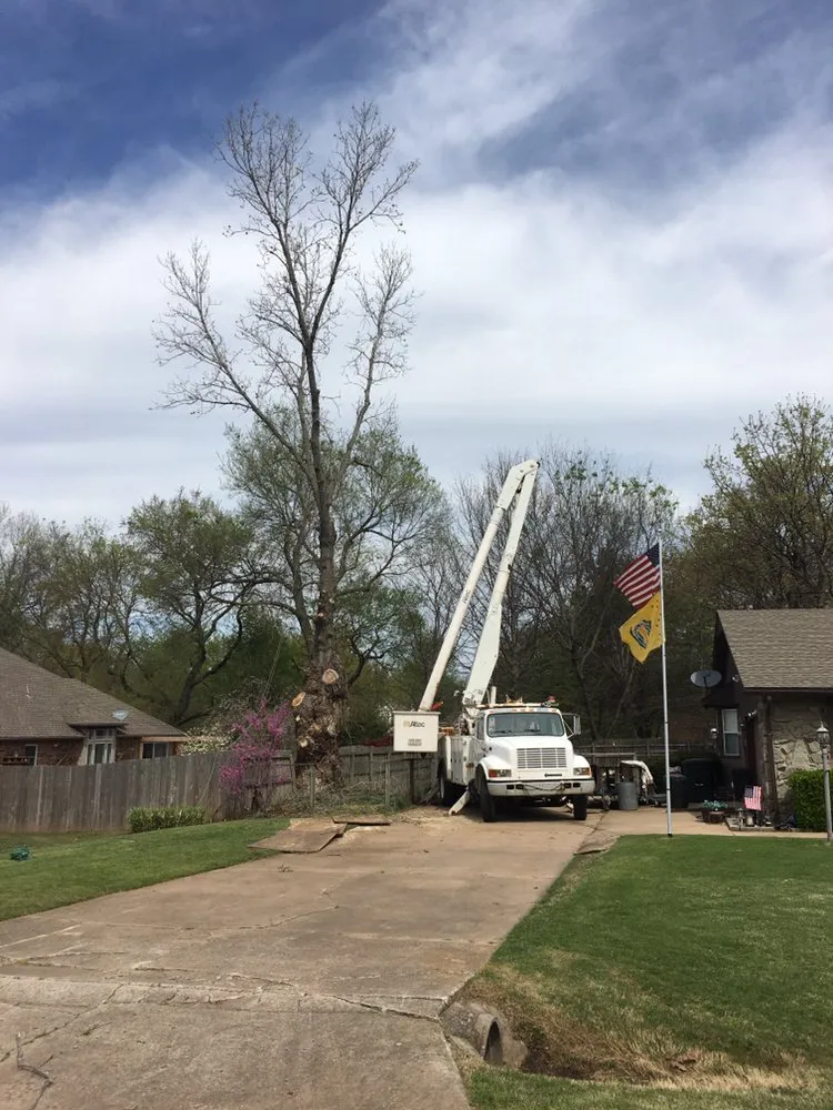 Expert outdoor landscaping for residential properties across Tulsa, OK - Wilkinson Tree Service