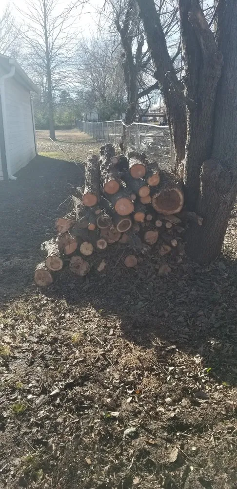 Expert landscape installation in Tulsa, OK by Wilkinson Tree Service