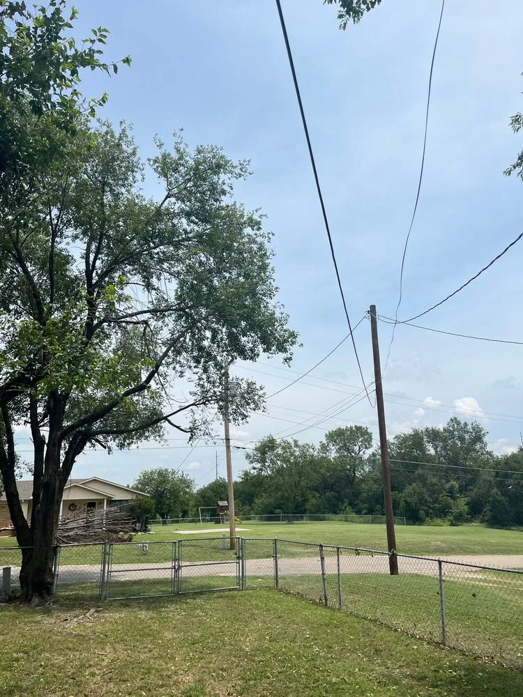 Custom garden landscaping experts serving Tulsa, OK - Wilkinson Tree Service