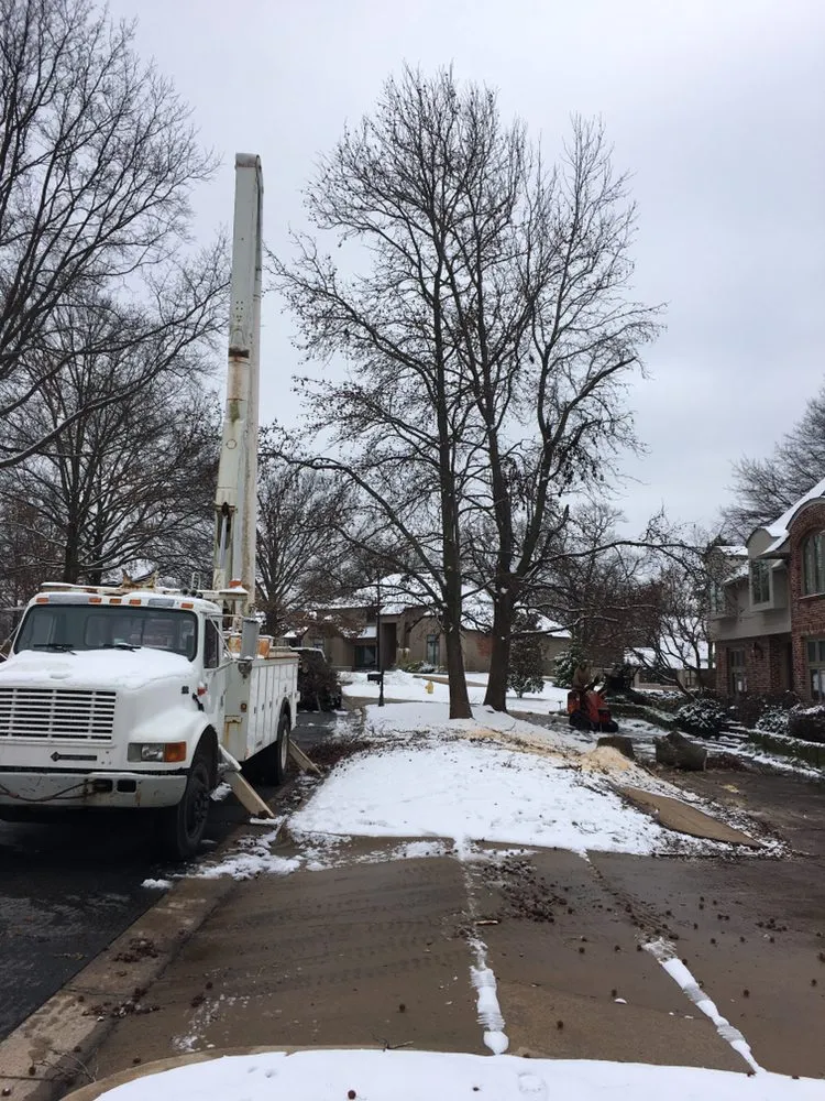 Custom lawn mowing service in Tulsa, OK - Wilkinson Tree Service