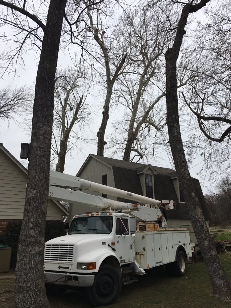 Reliable garden landscaping for outdoor upgrades in Tulsa, OK by Wilkinson Tree Service