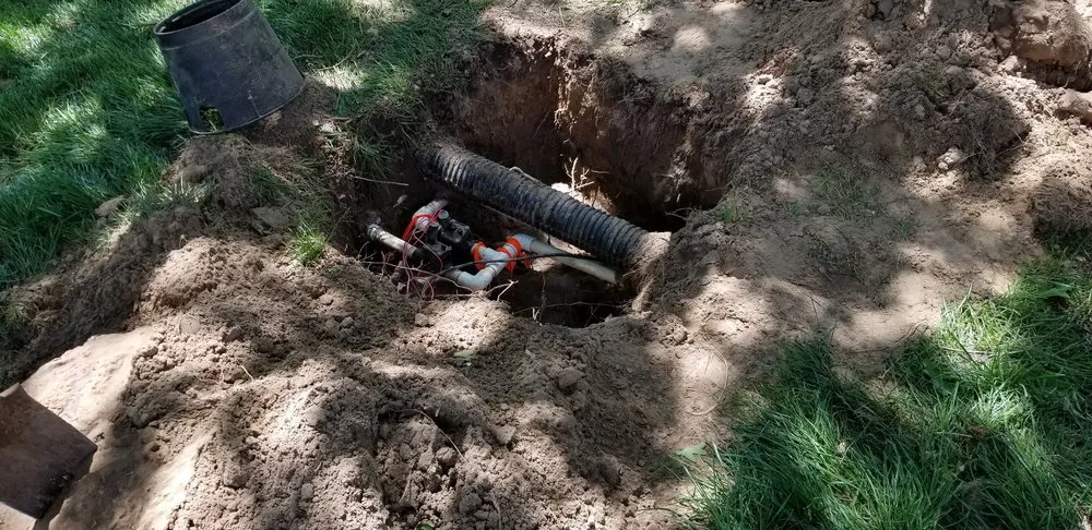 Trusted yard maintenance in Tulsa, OK - Wilkinson Tree Service