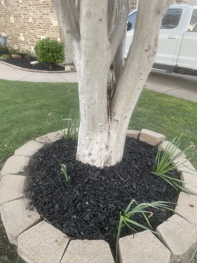 Professional residential landscaping experts serving Ennis, TX - Wilko Mow