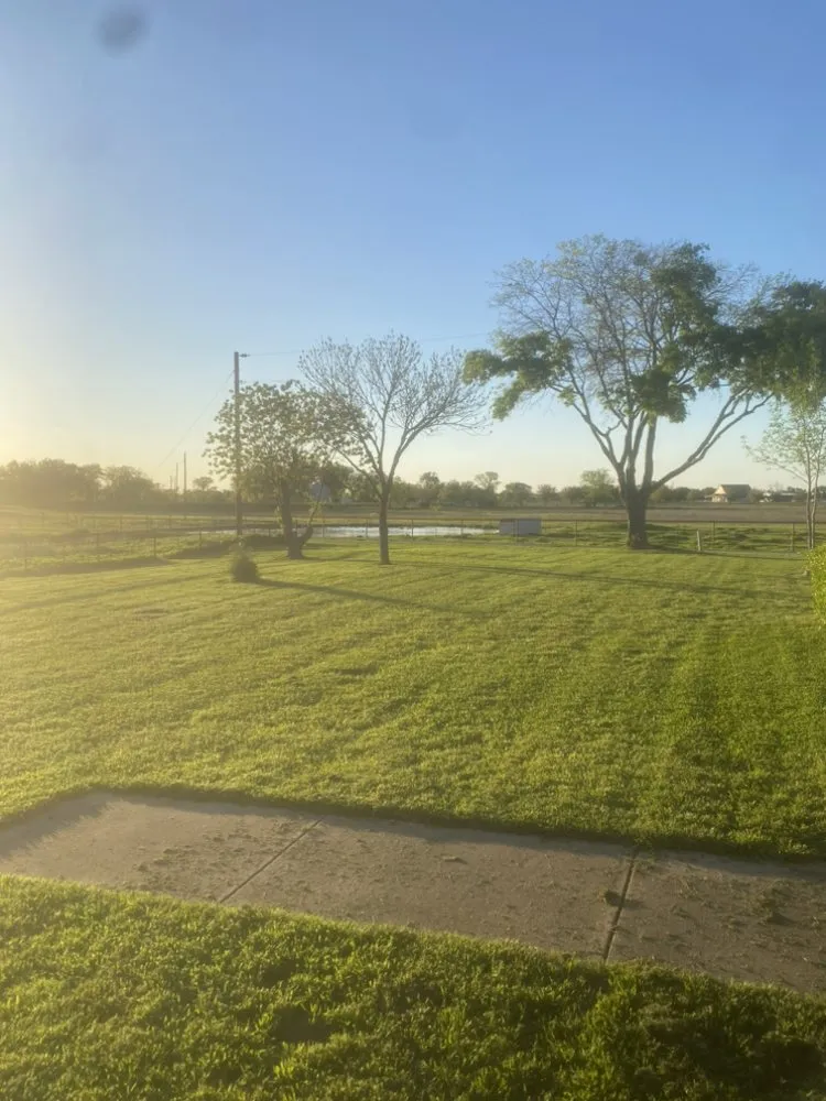 Trusted lawn care service near you across Ennis, TX - Wilko Mow