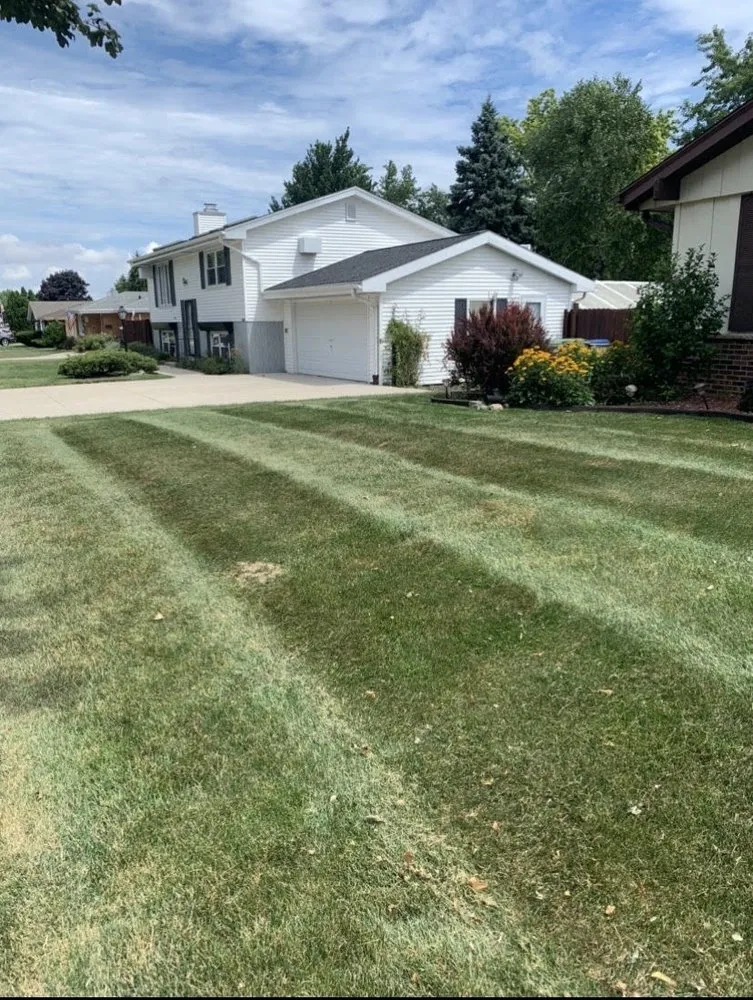 Expert residential landscaping near you in Milwaukee, WI by Wilks Outdoor Living