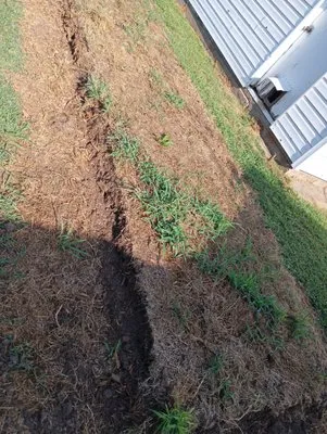 Will & Kell Lawn and Landscaping Service