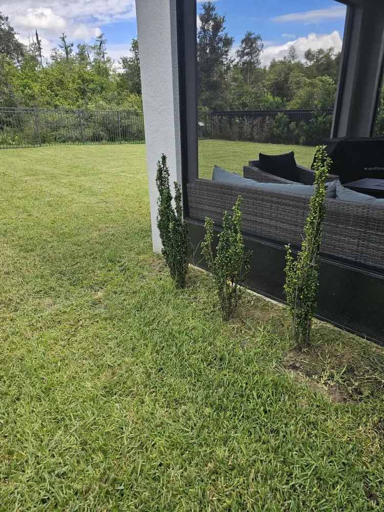 Professional landscape design in Clermont, FL - Will & Sons Lawncare