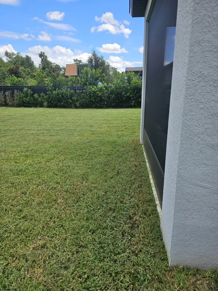 Top-rated landscape installation experts serving Clermont, FL - Will & Sons Lawncare