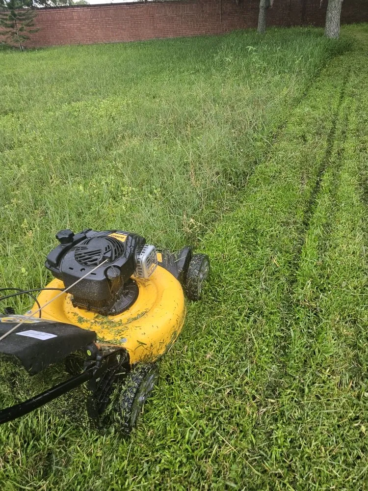 Affordable lawn care service in Clermont, FL by Will & Sons Lawncare