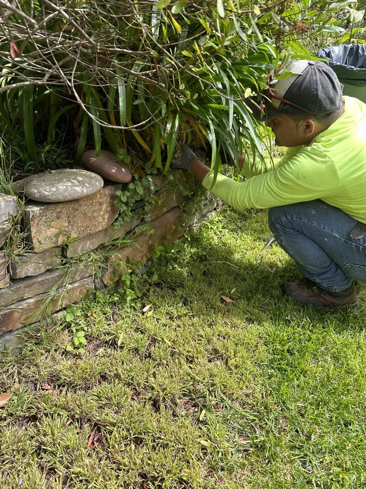 Top-rated outdoor landscaping experts serving Mill Valley, CA - Will and Tom's Construction & Landscaping