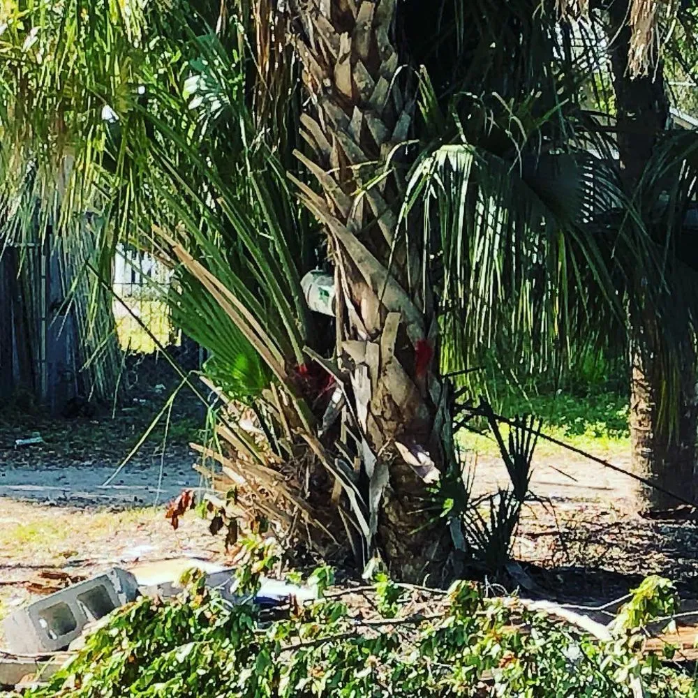 Custom landscape design experts serving Tampa, FL - Will-B enterprises