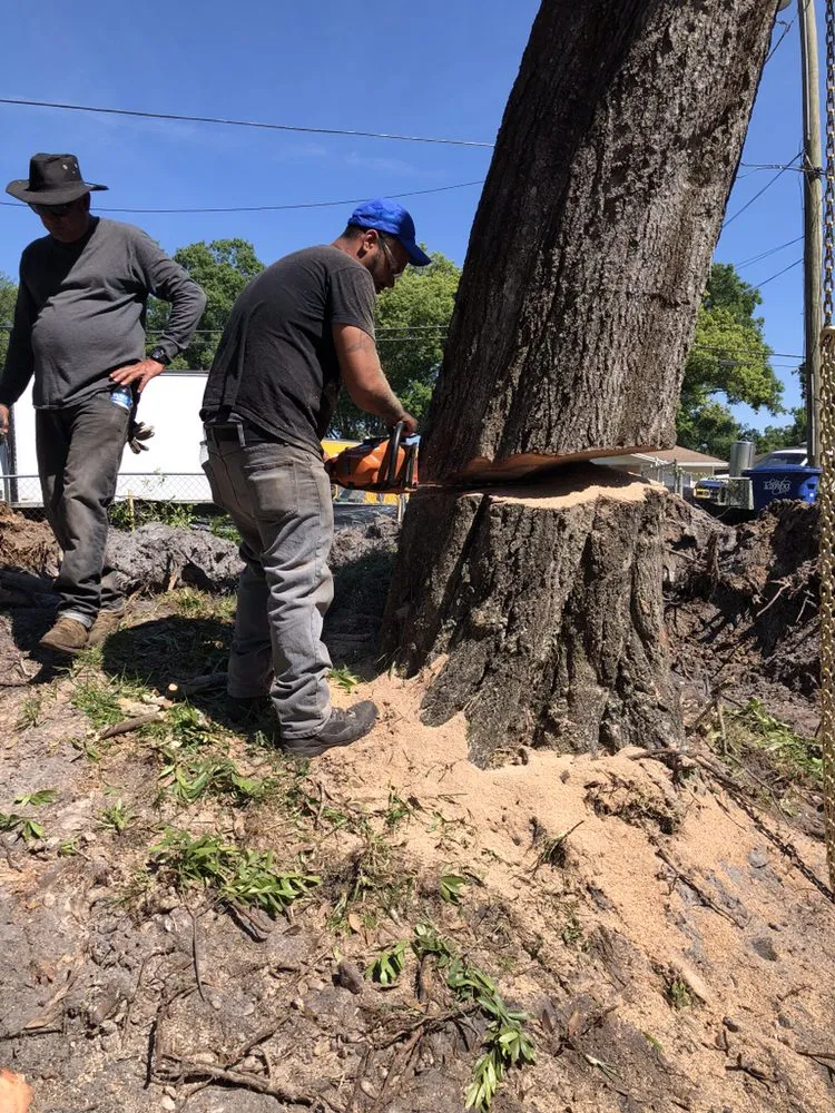 Expert landscaping services for homes across Tampa, FL - Will-B enterprises