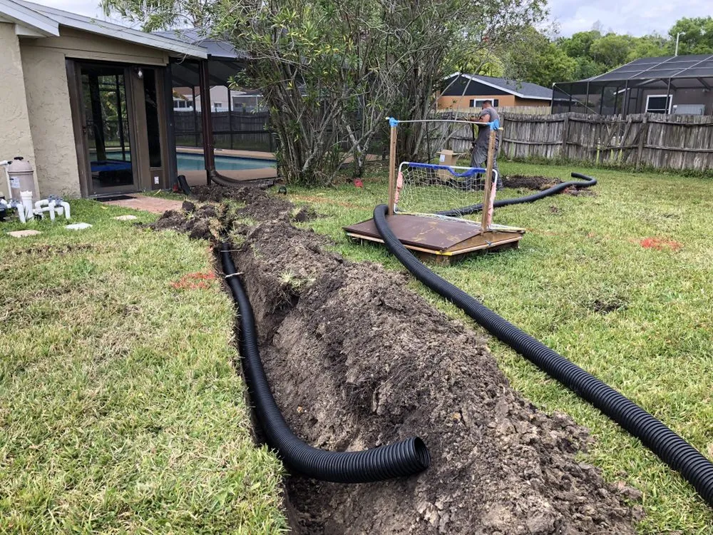 Expert yard cleanup service in Tampa, FL - Will-B enterprises