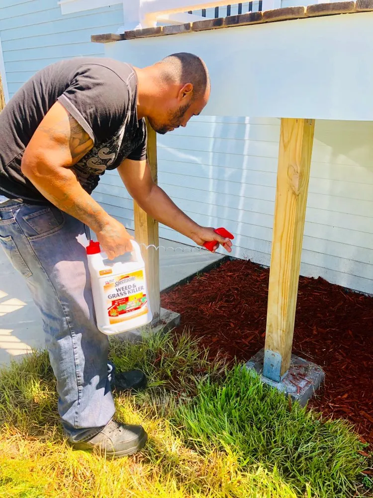 Local landscape installation in Tampa, FL - Will-B enterprises