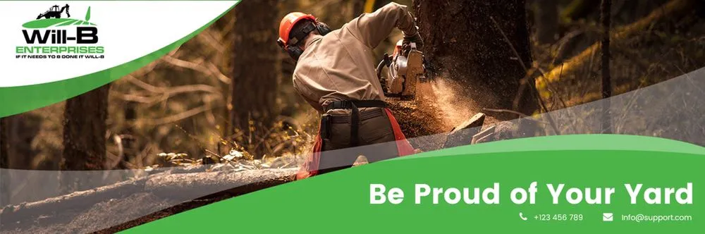 Expert yard cleanup service for year-round maintenance in Tampa, FL by Will-B enterprises