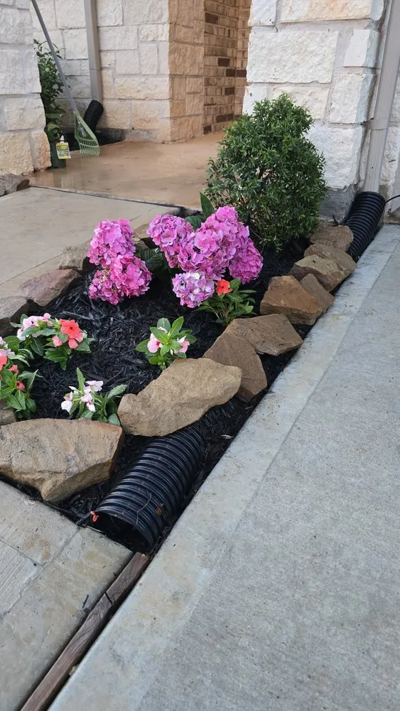 Expert yard maintenance in Katy, TX - Will Cut It