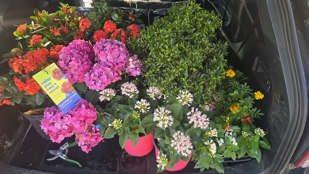 Custom lawn mowing service experts serving Katy, TX - Will Cut It