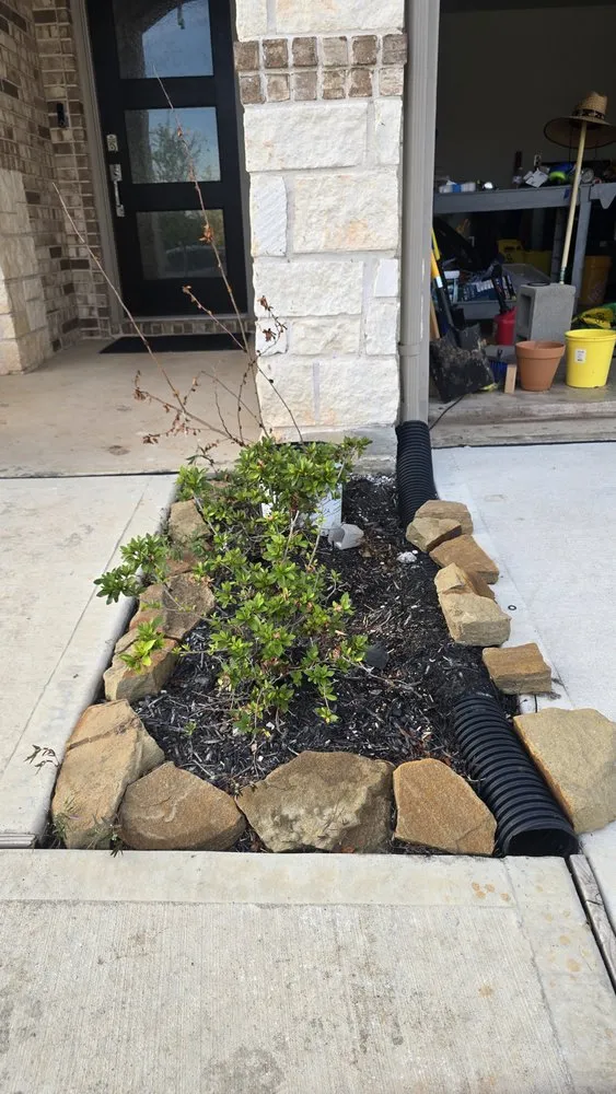 Local yard cleanup service in Katy, TX - Will Cut It