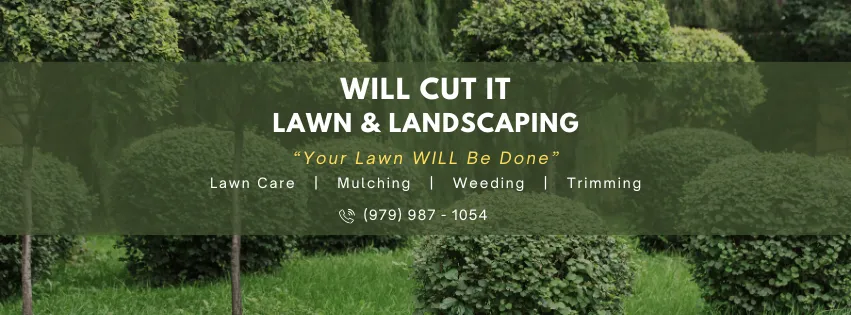 Professional landscape installation in Katy, TX by Will Cut It