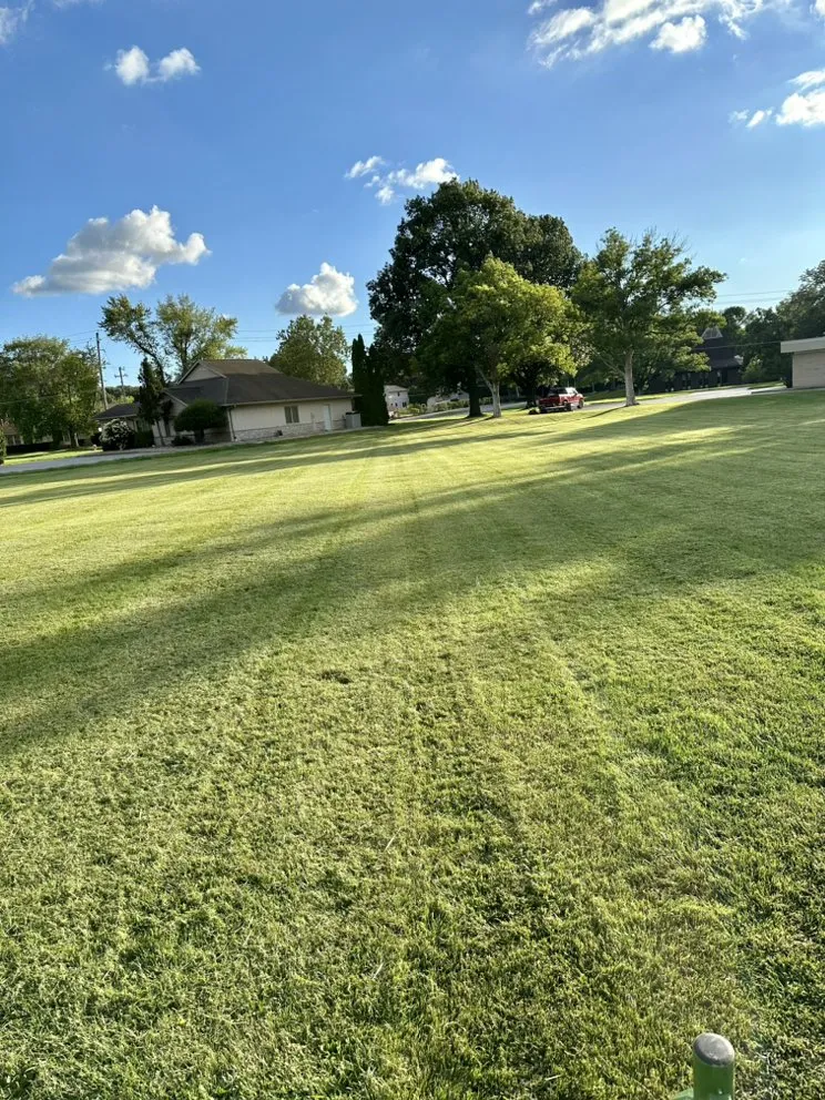 Local lawn care service near you in Milan, IL by Will Cuts Grass