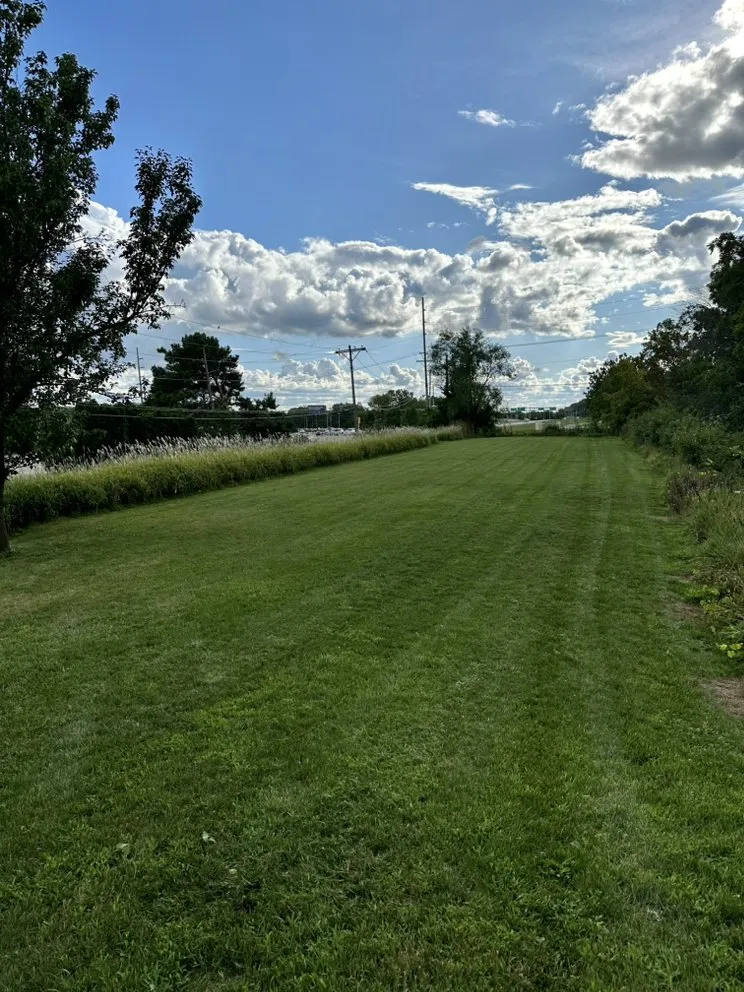 Top-rated outdoor landscaping experts serving Milan, IL - Will Cuts Grass