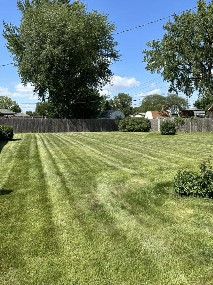 Expert yard maintenance for outdoor upgrades in Milan, IL by Will Cuts Grass