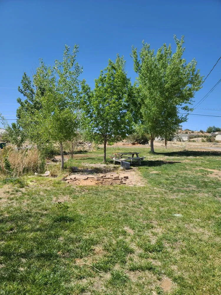 Custom yard maintenance near you across Farmington, NM - Will do it landscaping