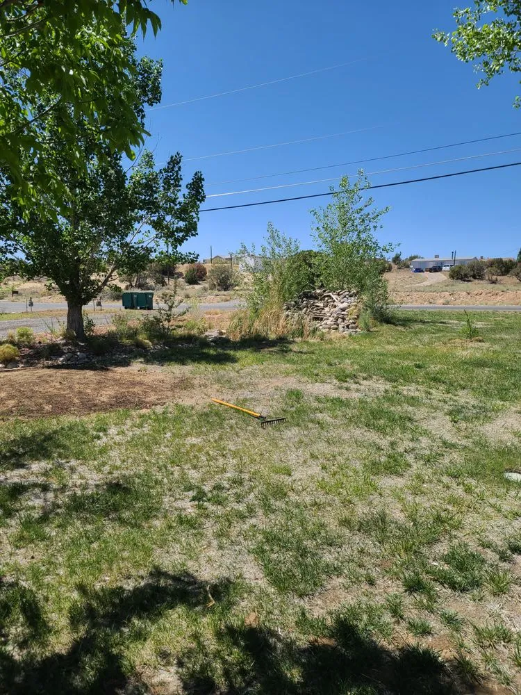 Trusted yard maintenance experts serving Farmington, NM - Will do it landscaping