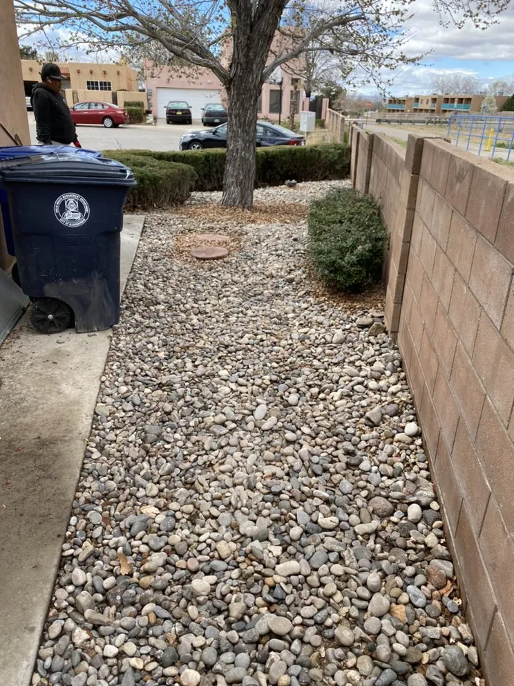 Local landscape design in Albuquerque, NM by Will Fix It