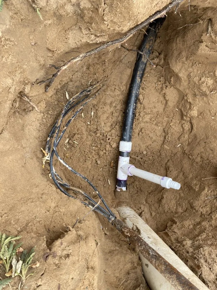 Professional residential landscaping experts serving Albuquerque, NM - Will Fix It