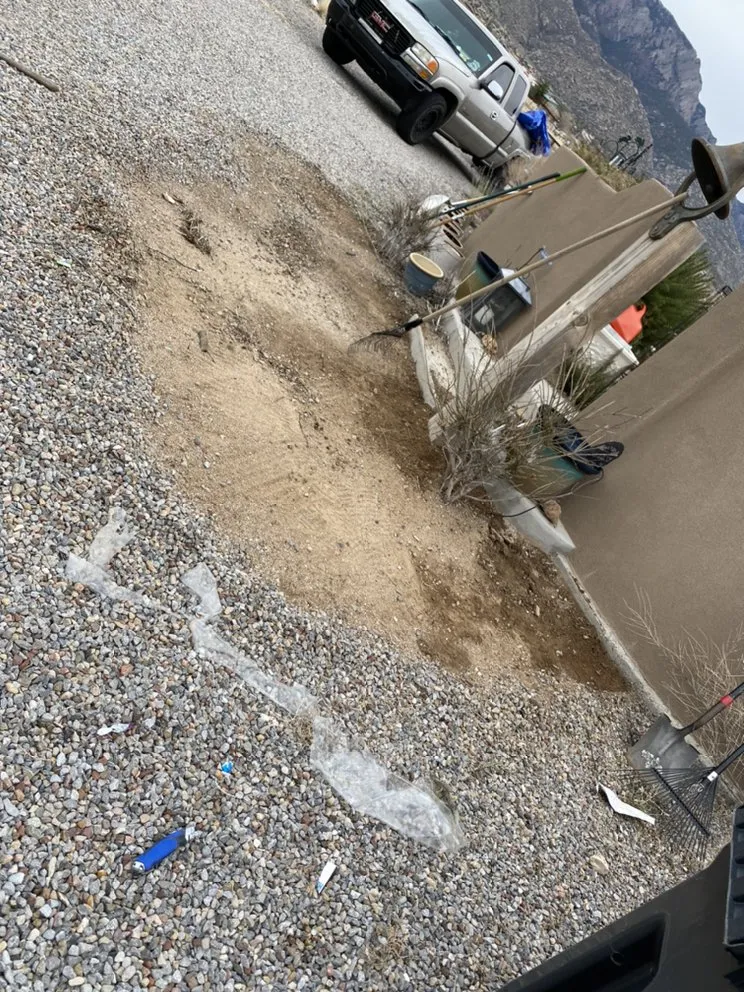 Expert yard cleanup service in Albuquerque, NM - Will Fix It