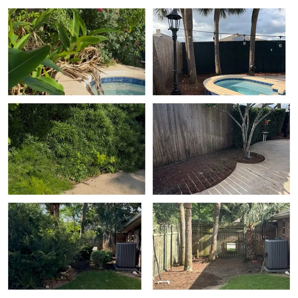 Local yard maintenance for homes in New Orleans, LA by Will Gomez