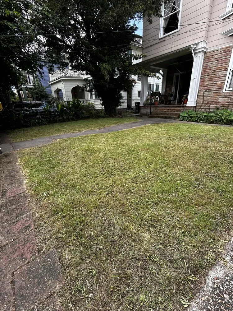 Local garden landscaping in New Orleans, LA by Will Gomez