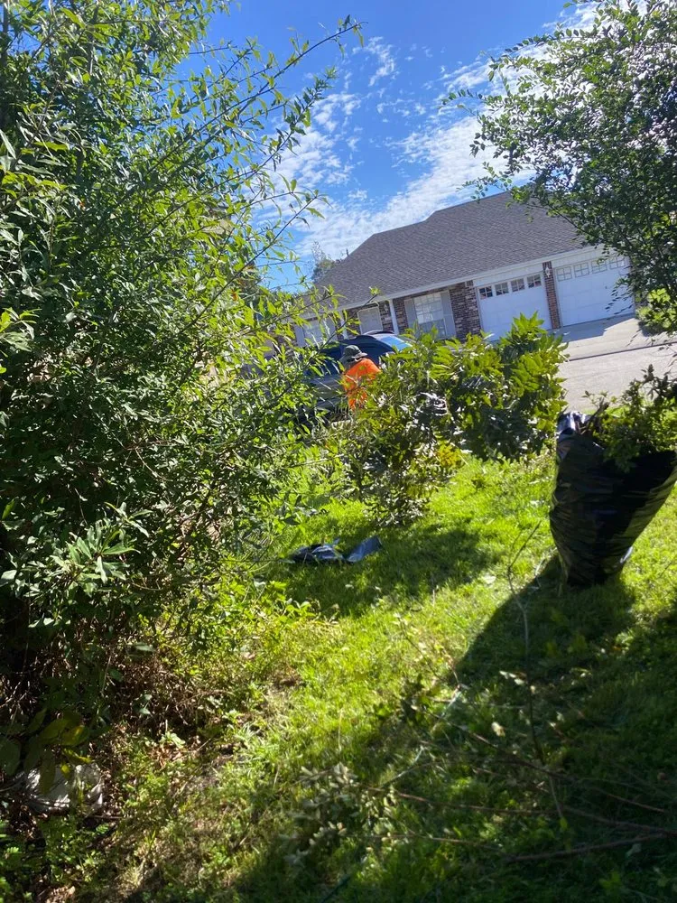 Expert yard cleanup service experts serving New Orleans, LA - Will Gomez