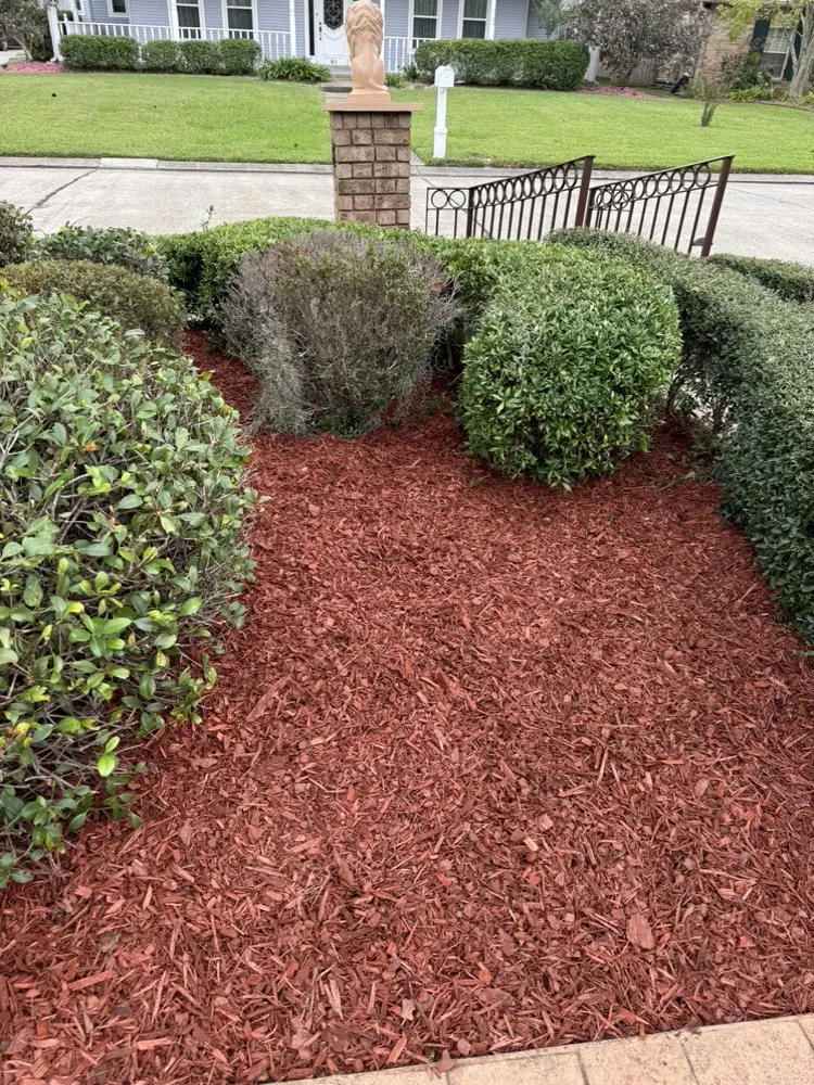 Local lawn mowing service in New Orleans, LA - Will Gomez