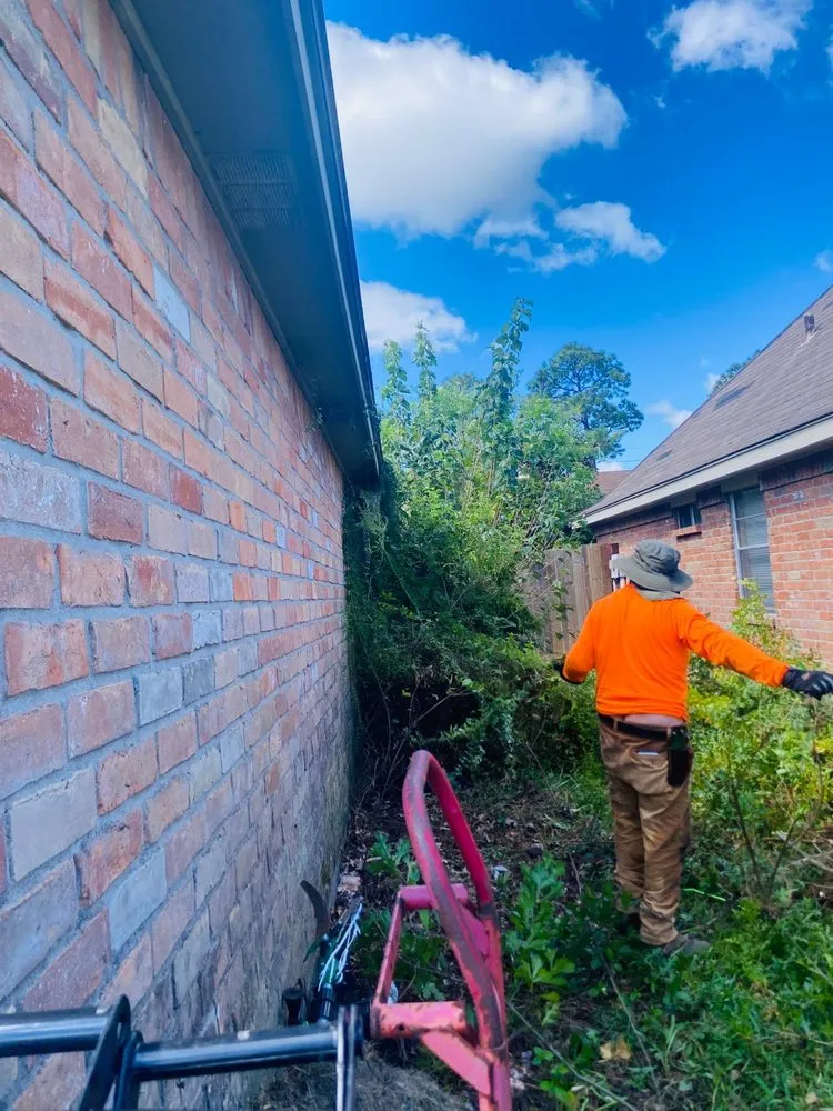 Local landscape design experts serving New Orleans, LA - Will Gomez