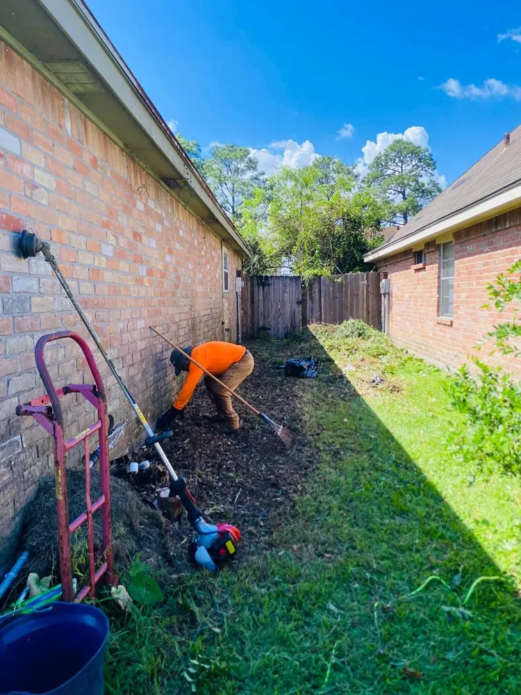 Expert lawn care service for beautiful yards across New Orleans, LA - Will Gomez