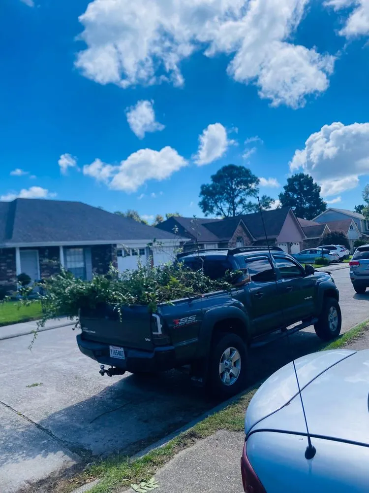 Reliable lawn care service in New Orleans, LA - Will Gomez