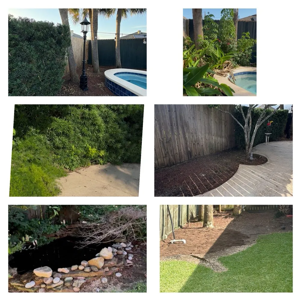 Professional lawn care service experts serving New Orleans, LA - Will Gomez