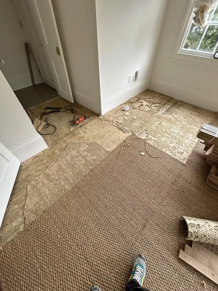 Local yard cleanup service in New Orleans, LA - Will Gomez