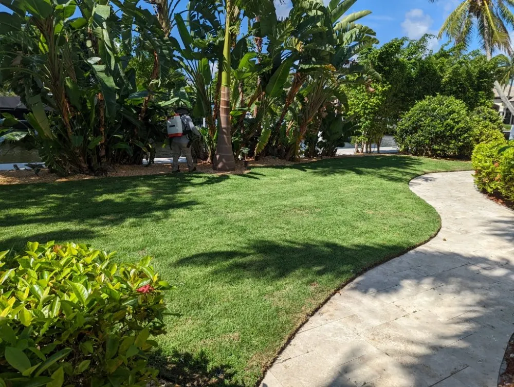 Local lawn care service for year-round maintenance across Freeport, NY - Will Handyman