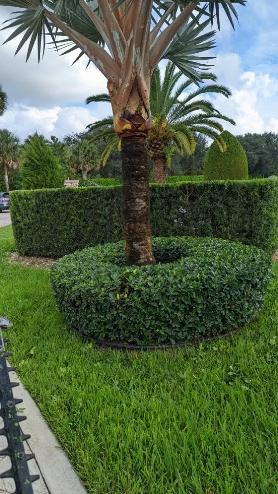 Affordable lawn care service in Freeport, NY by Will Handyman