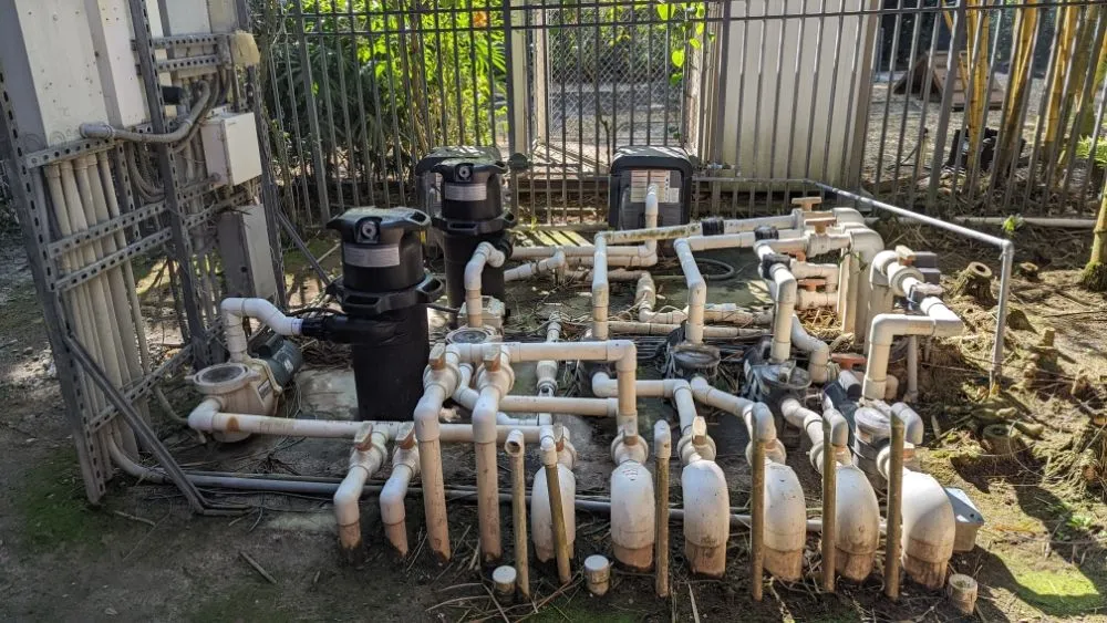 Trusted landscaping services with custom design across Freeport, NY - Will Handyman