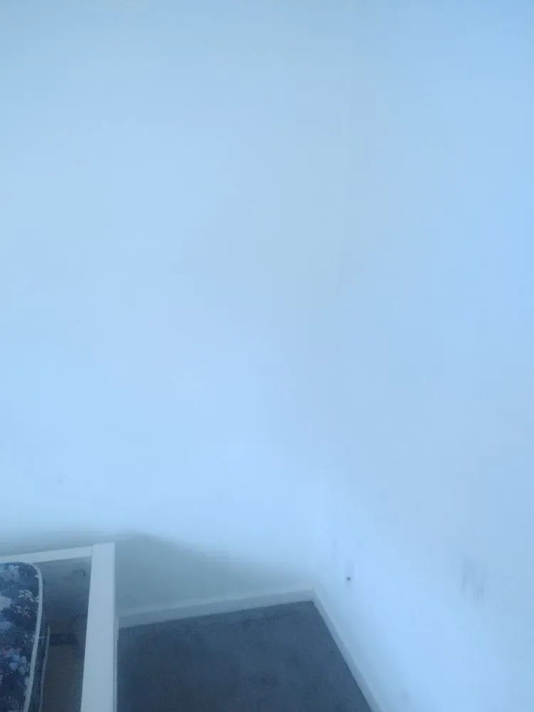 Affordable landscape installation in Cedar Rapids, IA - Will-Haul