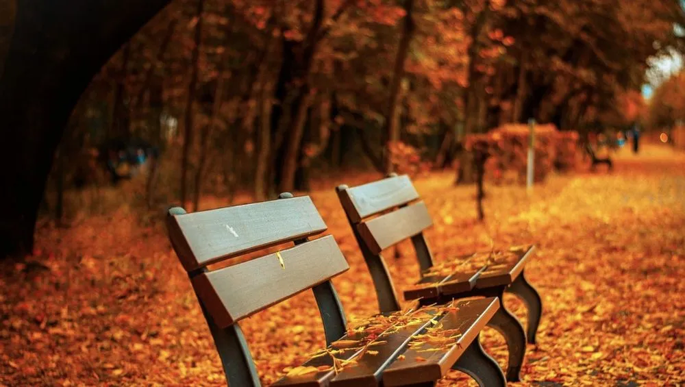 Expert residential landscaping in Dallas, GA - Will Landscaping