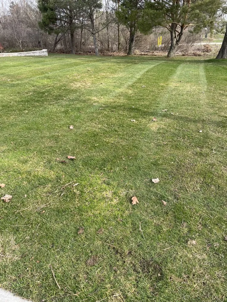 Custom lawn care service in Ithaca, MI by Will Lawncare Services