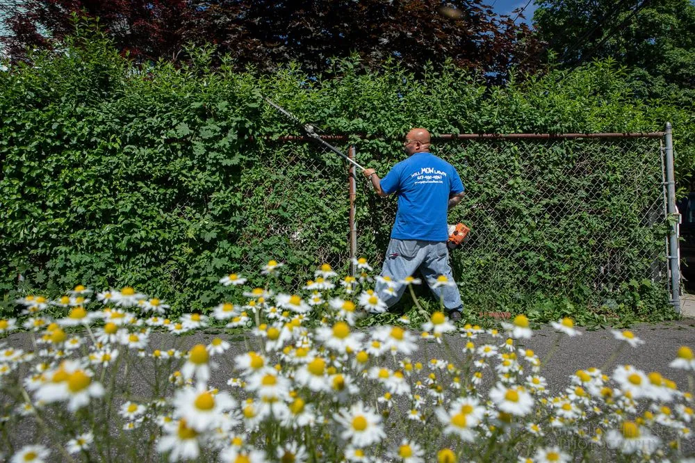 Reliable residential landscaping near you in Jamaica Plain, MA by Will Mow Lawn