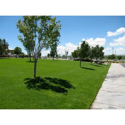 Will-Seal Asphalt Maintenance Logo